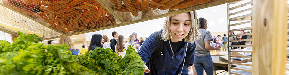 a student reaching for some lettuce at the farmers market