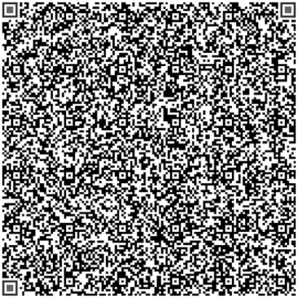 PyraMED Patient Portal (64.3K) PyraMED Patient Portal (64.3K)