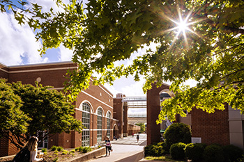 The sun shining through a tree near the DiGiorgio Campus Center and West Center